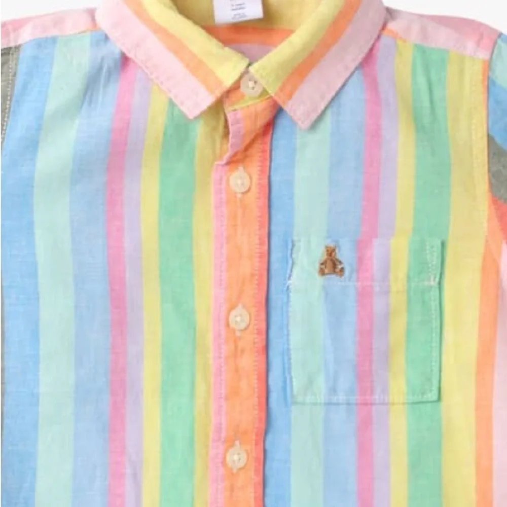 GAP Multicolor Striped Button Down Shirt